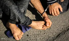 سارقان مسلح احشام در دشتستان دستگیر شدند