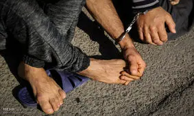 سارقان مسلح احشام در دشتستان دستگیر شدند