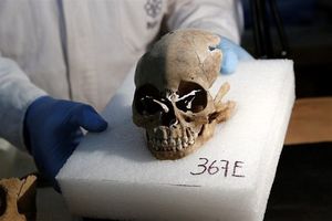 رمزگشایی از جمجمه انسانی که در جردن کشف شد