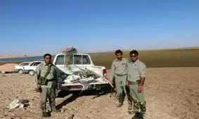 دستگیری یک تیم شکارچی در شهرستان زهک