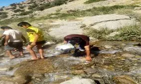 پاکسازی چشمه میشی و کوه گل توسط طبیعت دوستان