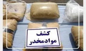 کشف بیش از 900 کیلو تریاک در عملیات مشترک پلیس بوشهر و فارس