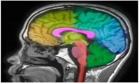 بیش‌فعالی؛ اختلالی برای همه عمر