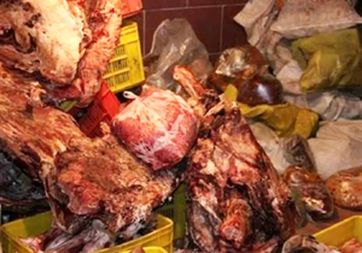 معدوم سازی بیش از یکهزار کیلوگرم فرآورده‌ خام دامی