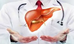 پاکسازی کبد ؛ خانگی ، گیاهی و فوری