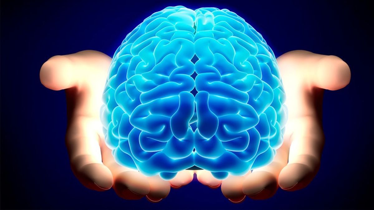 حیرت آورترین اسرار درباره مغز