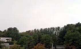 وقوع رگبار و رعد و برق شیرازی ها را غافلگیر کرد