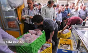 گران‌فروشی مرغ ادامه دارد