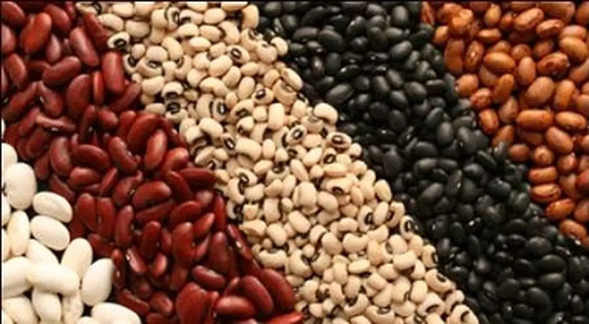 توقيف محموله میلیاردی لوبیای قاچاق در اصفهان