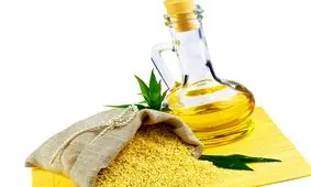 قیمت انواع روغن بکر در بازار چقدر است؟