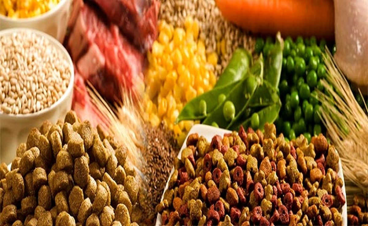 آخرین تغییرات قیمتی در بازار نهادههای دامی و کشاورزی