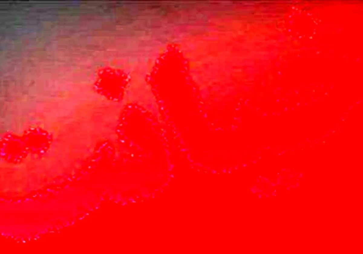 وقتی وارد خانه شدم زنم با شاهرخ در خلوت شوم بودند