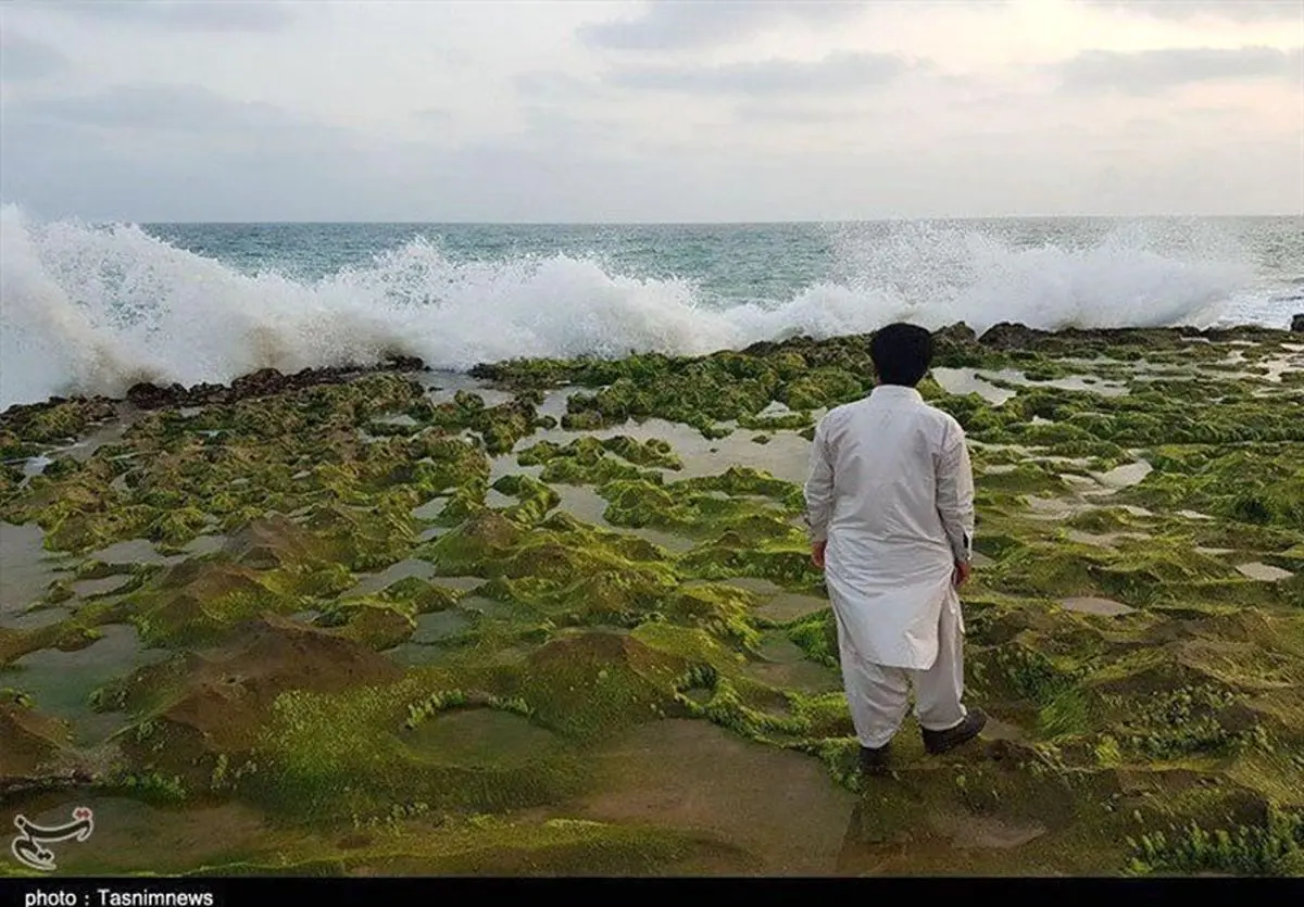 طبیعت چابهار در فصل "مونسون" به روایت تصویر