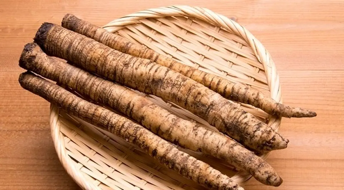 غول گیاهی همه فن حریف که نباید از آن غافل شوید!