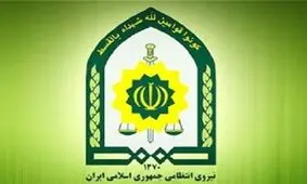مجلس با دائمی شدن قانون استخدامی ناجا موافقت کرد