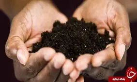 معرفی خاک و انواع آن/چند نوع خاک در ایران وجود دارد؟