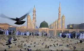 حضور بیش از ۱۳۰۰۰ نفر از حجاج ایرانی در مدینه منوره