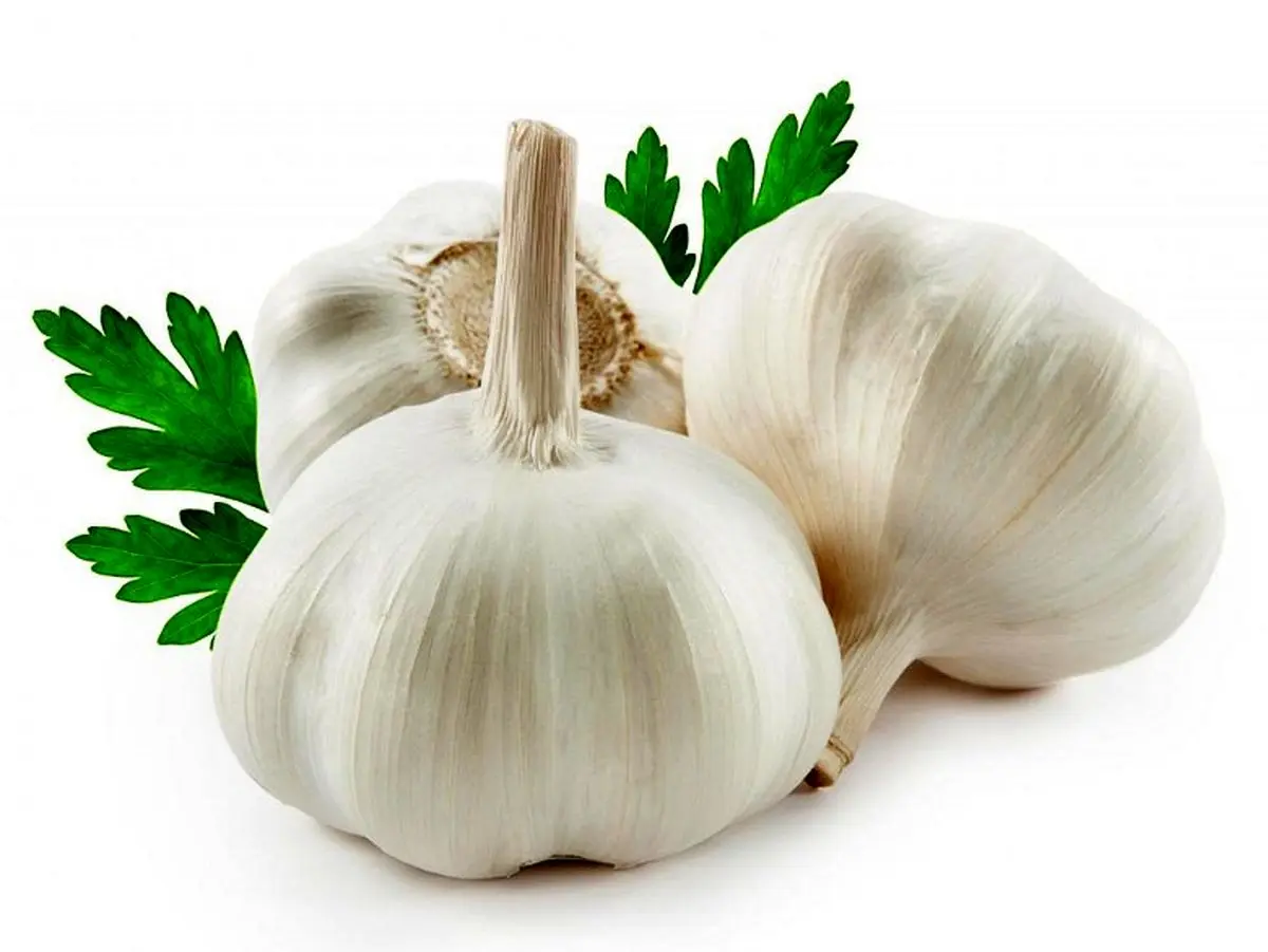 با خواص اعجاب‌انگیز سیر برای سلامتی بدن آشنا شوید