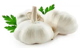 با خواص اعجاب‌انگیز سیر برای سلامتی بدن آشنا شوید