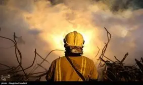 پیکر یکی دیگر از آتش‌نشانان پیدا شد/احتمال کشف اجساد دیگر در شمال‌غرب پلاسکو