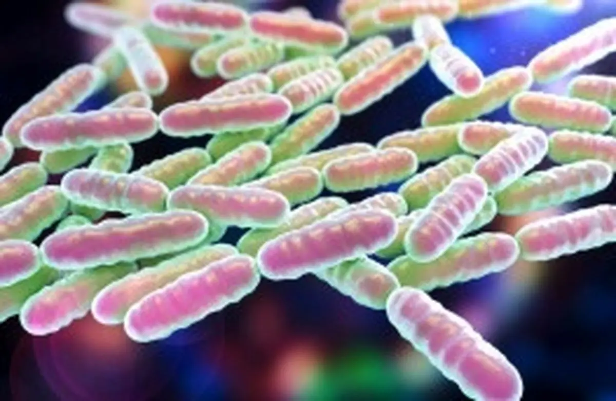 درک بهتر سرطان با شناخت میکروب‌های بدن انسان