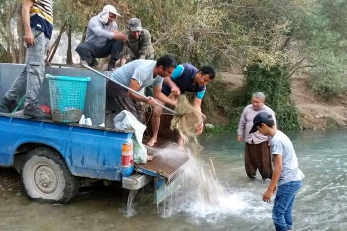 نجات قریب به ۱۰ هزار قطعه ماهی گرفتار شده در یک آبگیر کوچک