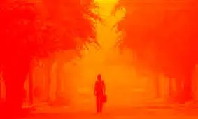 تنها ۵ درصد از بودجه ۱۰۰ میلیون دلار مقابله با ریزگردها در اختیار سازمان محیط زیست قرار گرفته است