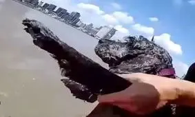 نجات جالب سگ گیر افتاده در رودخانه + فیلم