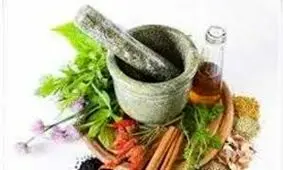 درآمدهای میلیاردی حاصل فروش گیاهان دارویی/ با کاشت گل محمدی پولدار شوید