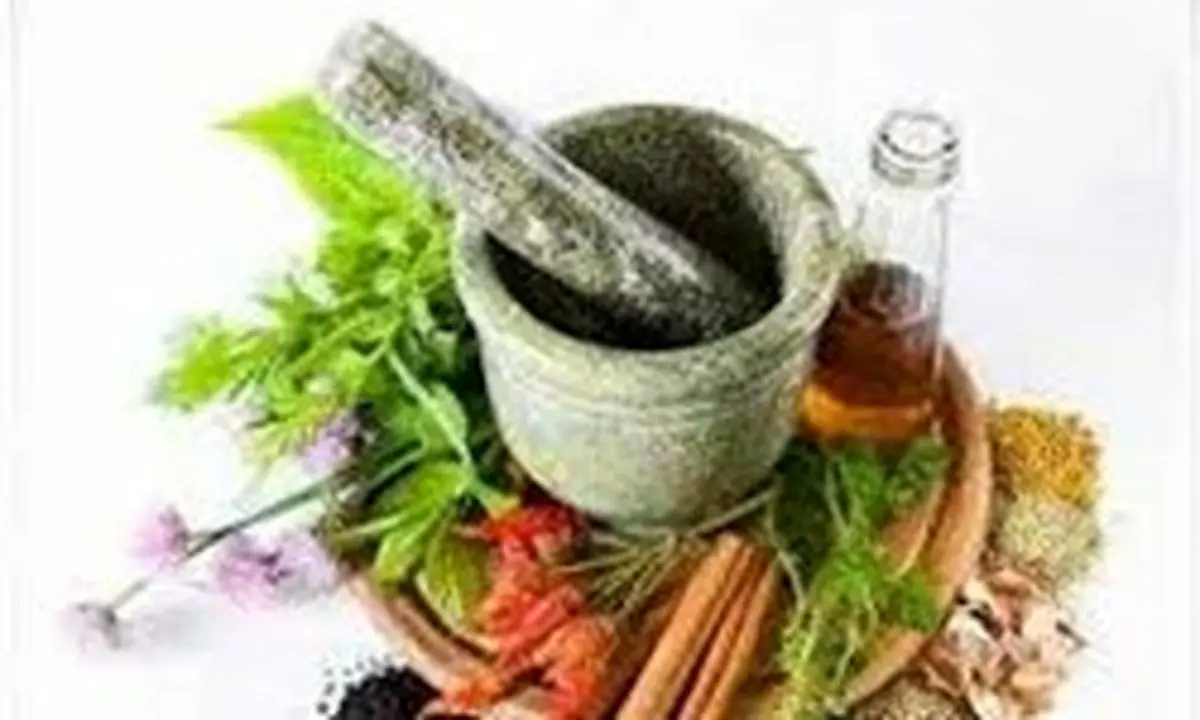 درآمدهای میلیاردی حاصل فروش گیاهان دارویی/ با کاشت گل محمدی پولدار شوید