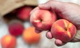 خواص معجزه آسای شلیل برای سلامتی که نمی‌دانستید!