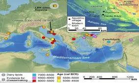 قدیمی ترین پنیر دنیا پیدا شد+تصاویر