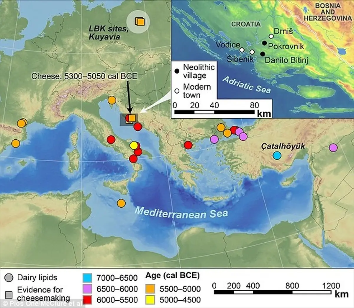 قدیمی ترین پنیر دنیا پیدا شد+تصاویر