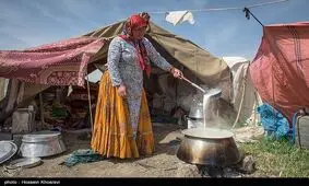 کوچ پاییزه عشایر اردبیل از اوایل مهرماه آغاز می‌شود