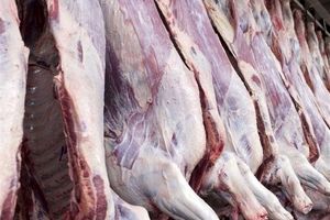 قیمت گوشت منجمد در همدان به‌۵۴ هزار تومان‌ رسید
