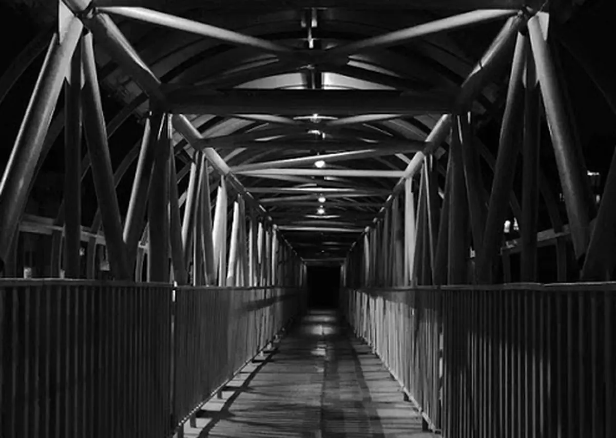 خودكشی پسر بچه تهرانی مقابل چشمان خواهرش