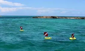 کوچکترین و ارزان ترین سیستم غواصی دنیا ساخته شد