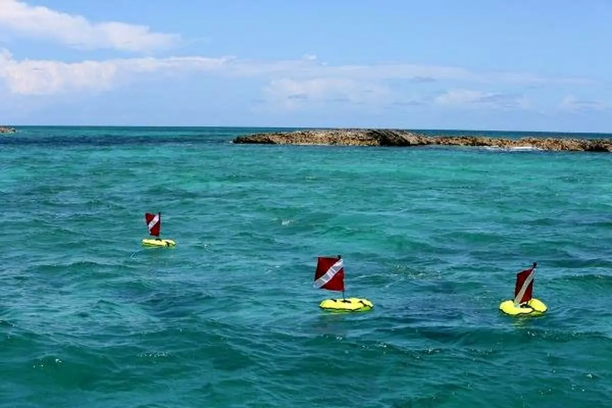 کوچکترین و ارزان ترین سیستم غواصی دنیا ساخته شد