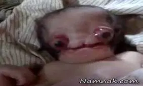 تولد ترسناک ترین نوزاد جهان + فیلم و عکس 18+