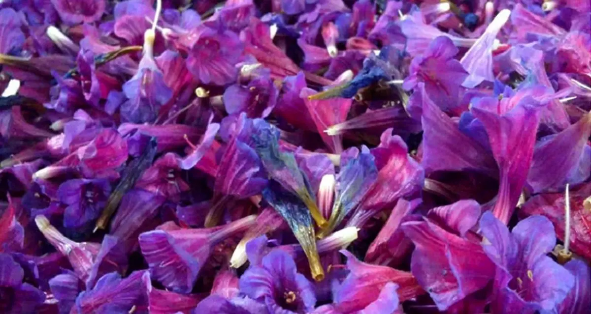 دمنوشی برای آرام جسم و جان