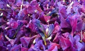 دمنوشی برای آرام جسم و جان