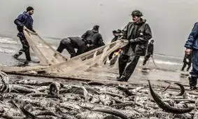 آیا دریای عمان را به چینی‌ها داده اند؟