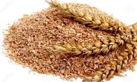 مشکلات تامین مالی مانع خرید گندم ایران از روسیه شد