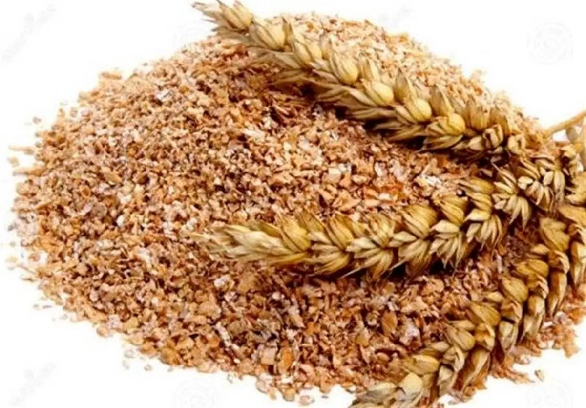 مشکلات تامین مالی مانع خرید گندم ایران از روسیه شد