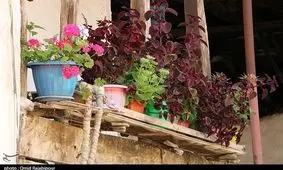 خانه‌های زگالی "سزیرود" اشکورات گیلان به‌روایت تصویر
