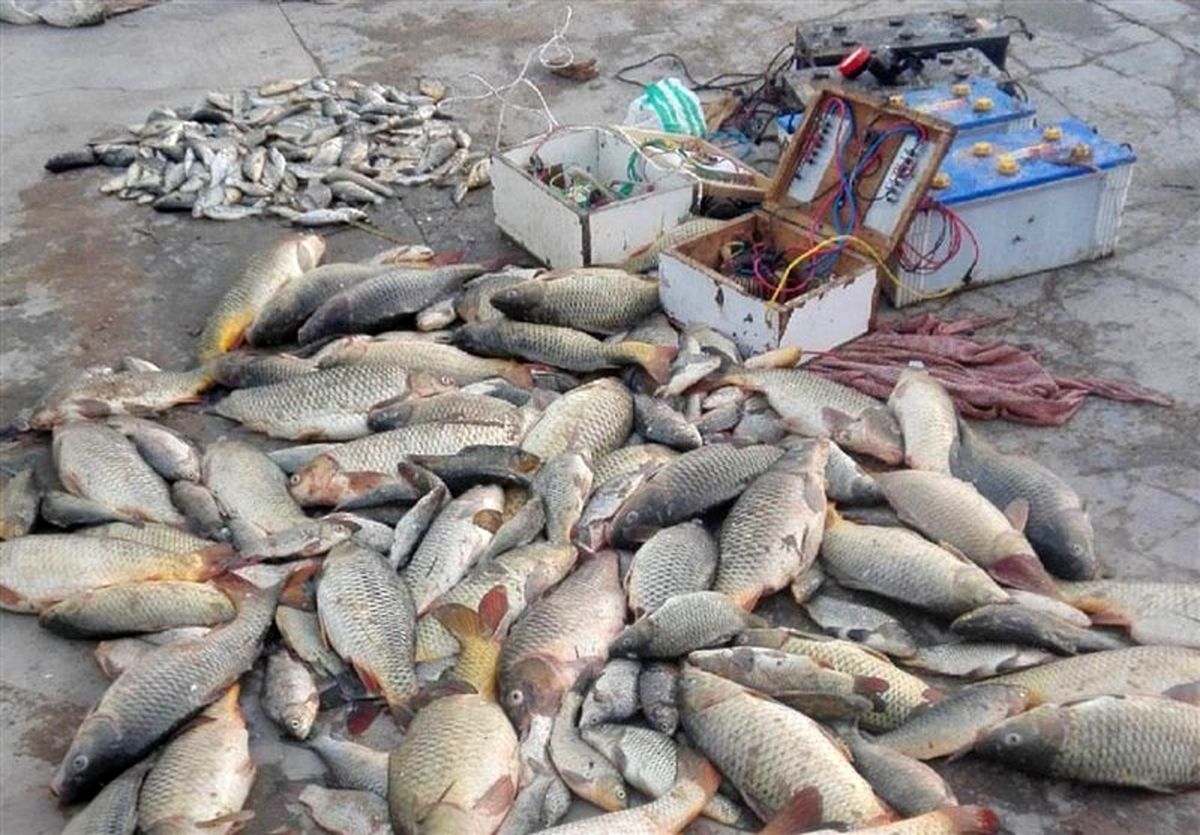 صیادان غیرمجاز ماهی در پارک ملی کرخه شهرستان شوش دستگیر شدند