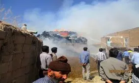 بچه‌ها یک روستا را به آتش کشیدند!