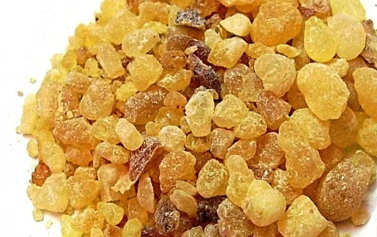 خواص اعجاب انگیز روغن مصطکی