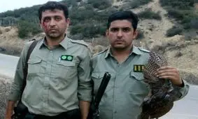 مصدومیت محیط‌بان پارک ملی پابند در حال دستگیری ۴ متخلف