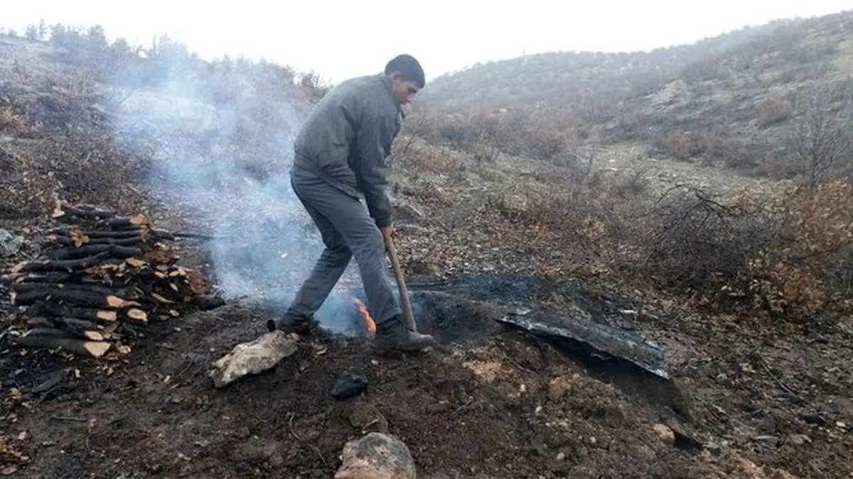 کشف ۴۷ کیسه زغال قاچاق در ایلام